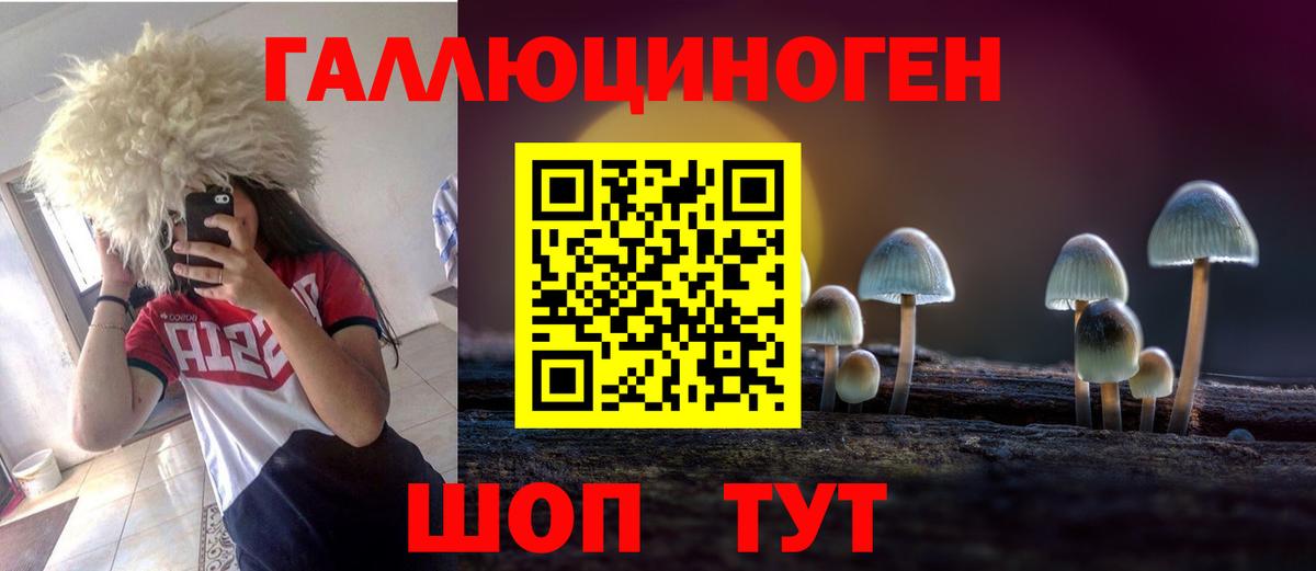 Псилоцибиновые грибы MAGIC MUSHROOMS  Вход с VPN  Пугачёв 