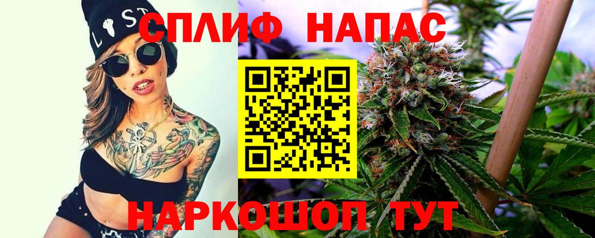 Канабис Bruce Banner Пугачёв
